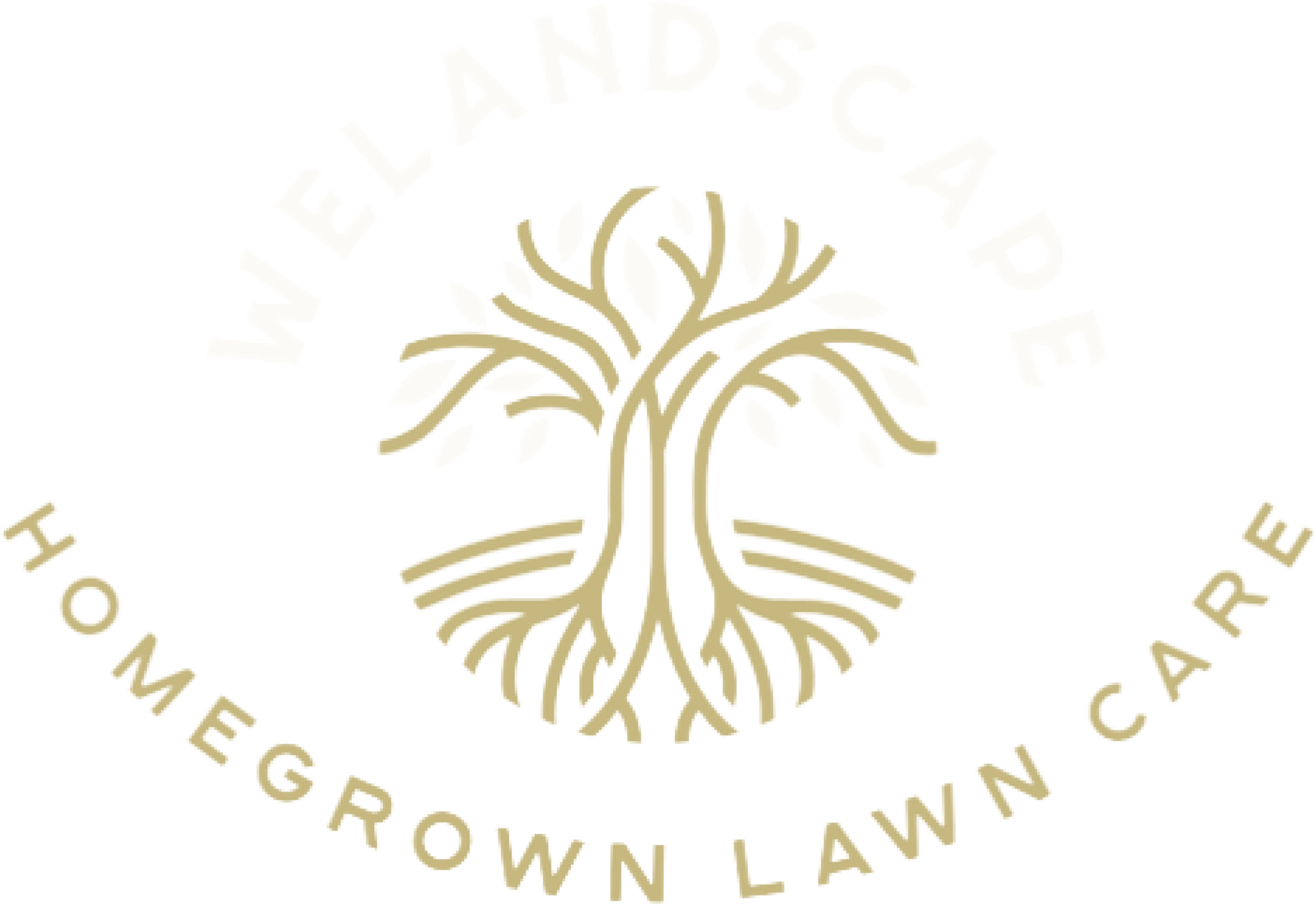 WELandscape